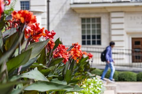 orange flowers and student in the background