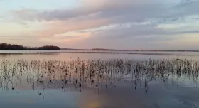 lake photo
