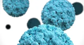 Tiny, puffy turquoise balls are shown up close against a white background. These are norovirus particles.