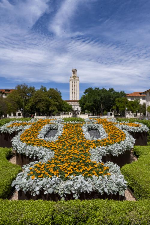 UT Tower and flowers