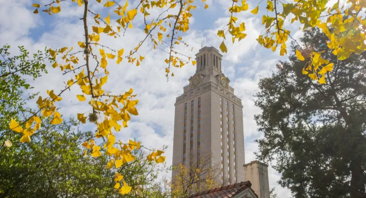 Tower through trees with yellow leaves