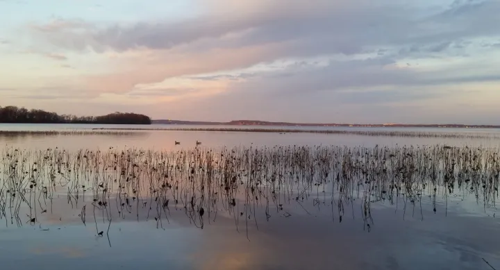 lake photo