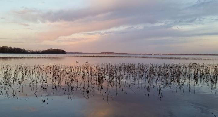 lake photo