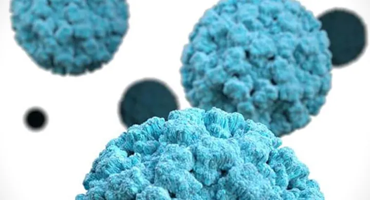 Tiny, puffy turquoise balls are shown up close against a white background. These are norovirus particles.
